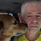 Seeker profile avatar for Companion Care Needed For My Parents In Cary