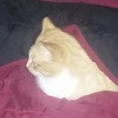 Profile image of Debra B.