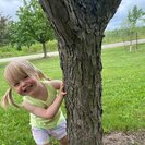 Seeker profile avatar for Babysitter Needed For 2 Children In Madison