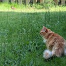 Seeker profile avatar for Seeking Full-time Senior Care Provider In Redmond