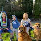 Photo for Morning Nanny/household Manager/dog Walker Needed In Camas