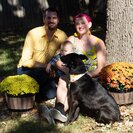 Profile image of Kaitlynn B.