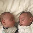 Photo for Nanny Needed For Twin Boys In Athens.