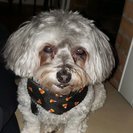 Seeker profile avatar for Looking For A Special Education Readung Tutor In Asheville.