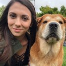 Rachel F.'s Photo