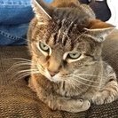 Profile image of Barbara B.