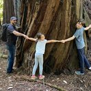 Photo for Babysitter Needed For One Child In San Jose