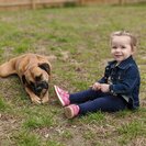 Photo for 5 Y.o. Type 1 Diabetic Girl And 2 Friendly Dogs, Saturdays 2-7 (Time Is Flexible)