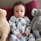 Seeker profile avatar for Morning Help Needed, 4-5x Per Month Getting My 4 Yr Old Son To School. 1-2.5 Hours Of Work Ea. Time.