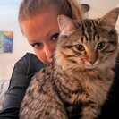 Seeker profile avatar for Single Female, Living In Single-family Home, Looking For Help One Time Due To Injury With Chores