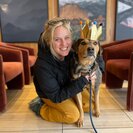 Seeker profile avatar for Dog Hiker Needed For 4 Dogs In Denver - Part-time (Wed/Thurs)