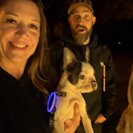 Seeker profile avatar for Must Love Dancing And Dinosaur Hunts - 2 Preschool Kids Evening Help