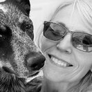 Seeker profile avatar for Looking For A Dependable House Cleaner For Family Living In Laurinburg.