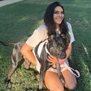 Seeker profile avatar for Looking For A Dependable House Cleaner For Family Living In Corpus Christi