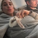 Seeker profile avatar for BUNNY SITTER NEEDED