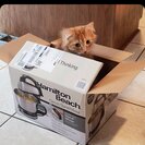 Profile image of Michaelle Q.