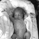 Seeker profile avatar for Babysitter Needed For 2 Children In Ladera Ranch