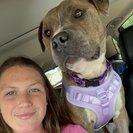 Seeker profile avatar for Looking For A Pet Sitter For 1 Dog In Edmond