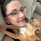 Seeker profile avatar for Looking For A Pet Sitter For 2 Dogs In Natick