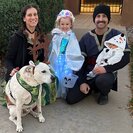 Seeker profile avatar for Mother's Helper Needed For 2 Children In Albuquerque