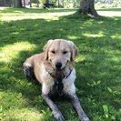 Seeker profile avatar for Nanny Needed For 2 Children In Stratham