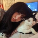 Seeker profile avatar for Cat Sitter Wanted: Caring Companion For A Sweet, Playful Cat!!