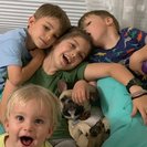 Photo for Babysitter Needed For 2 Child In Pottstown