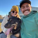 Seeker profile avatar for Pet Sitter Needed Over Christmas