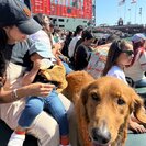 Seeker profile avatar for Nanny Needed For 1 Child In Petaluma