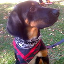 Seeker profile avatar for Nanny Needed For My Children In Waunakee.