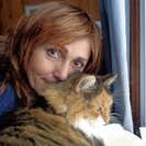 Seeker profile avatar for Looking For A Pet Sitter For 1 Cat In Old Lyme