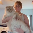 Seeker profile avatar for Looking For A Pet Sitter For 1 Dog, 3 Cats, 1 Other Pet In New Riegel