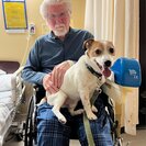Seeker profile avatar for Caregiver Needed