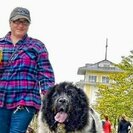 Photo for Seeking Full-time Senior Care Provider In Ludlow