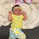 Seeker profile avatar for Bi-weekly Cleaning.