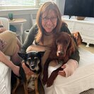 Jill H.'s Photo