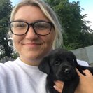 Seeker profile avatar for Babysitter Needed For Date Nights In Somerville