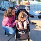 Seeker profile avatar for Nanny Needed For 1 Child In Labelle.