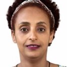 Sentayehu G.