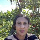Sharda P.