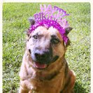 Seeker profile avatar for Seeking Part-time Adult Care Provider In Sharpsburg (Preferably Bilingual)