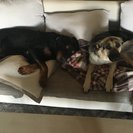 Profile image of Alexandra F.