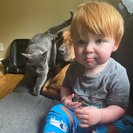 Seeker profile avatar for Occasional Care Needed For 2 Year Old, Sometimes 2 And 3 Year Okd