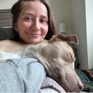 Seeker profile avatar for Looking For A Recurring Babysitter For Our 7-Month-Old (2 Days/Week)