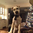 Profile image of Heather S.