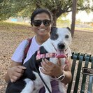 Photo for Looking For A Nanny (Full-Time) For 4 Month Old