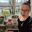 Seeker profile avatar for Nanny Needed For Teen And Pets During Extended Work Trips.