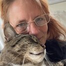 Seeker profile avatar for Sitter Needed For 1 Cat In Standish