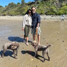 Photo for Weekly Housekeeping For A Couple And Two Fluffy Dogs