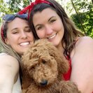 Profile image of Amy P.